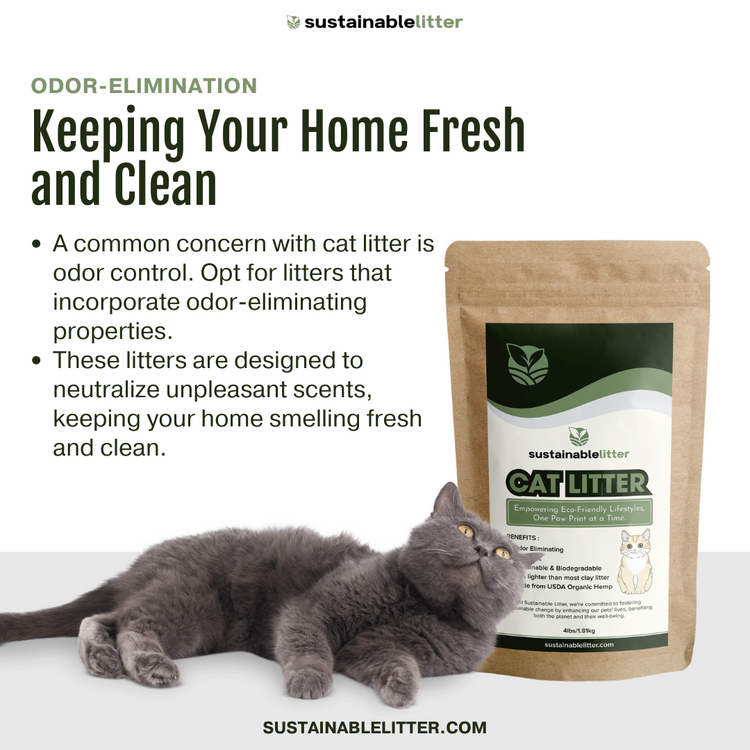 Best Cat Litter for Odor Control - Sustainable Litter